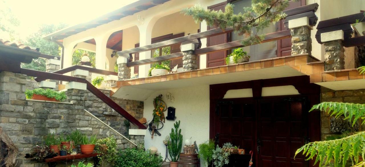 Apartment Slavi Vipava Kültér fotó