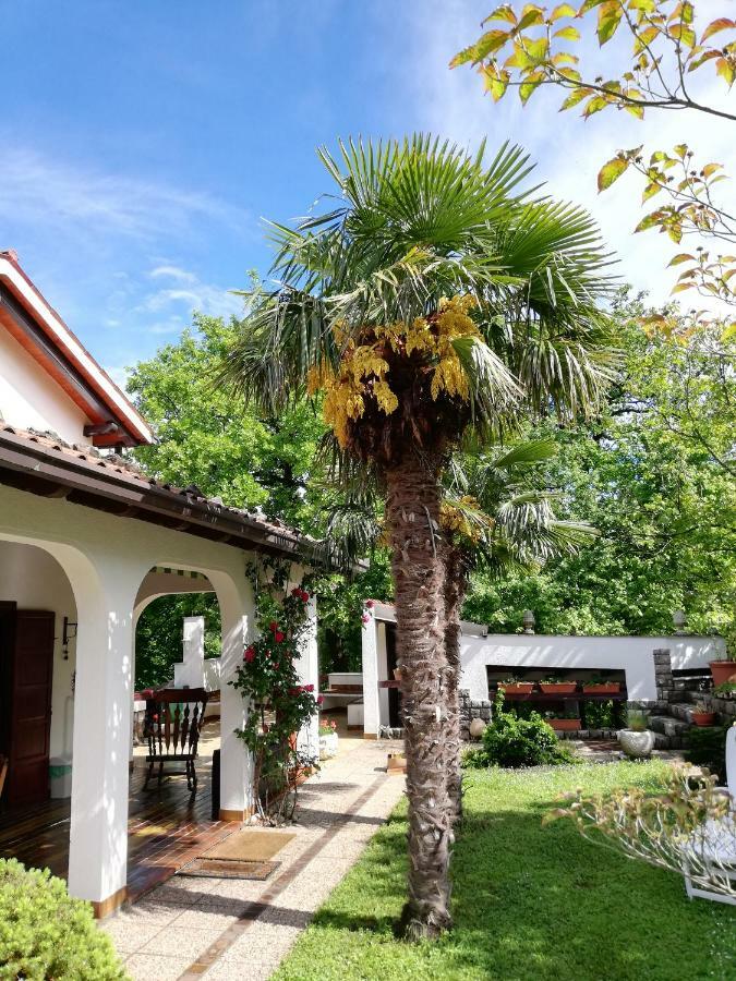 Apartment Slavi Vipava Kültér fotó